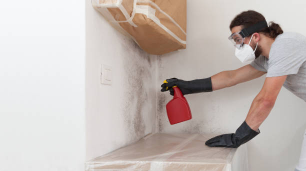 Professional Bathroom Mold Removal technician working in Woodland, NC